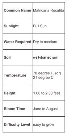 Chamomile Requirement Chart